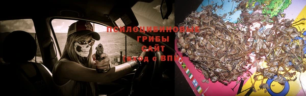 ешки Верхний Тагил