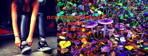 PSILOCYBIN Волоколамск