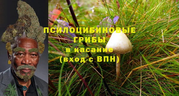 jwh Верея