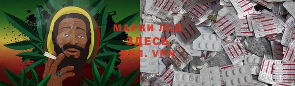 PSILOCYBIN Волоколамск